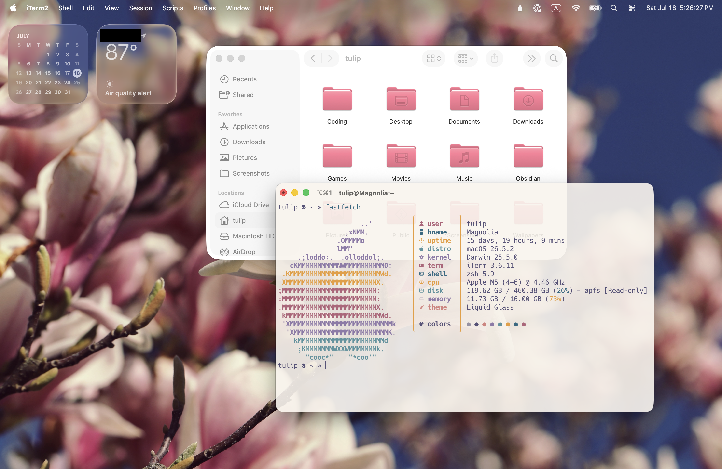 a modern macOS desktop, with a flowering magnolia tree background, and soft pink accents in the UI.