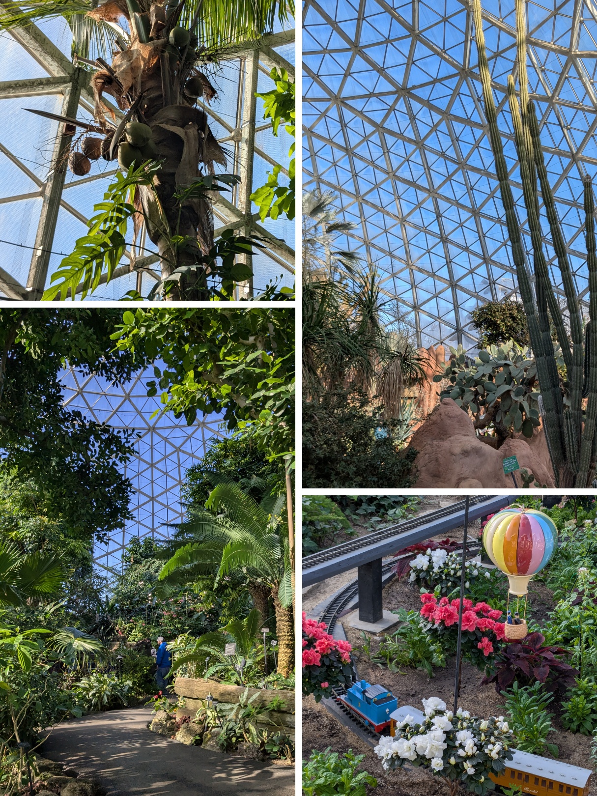 a collage of photos, showing different views of the gardens. there's a coconut palm tree, a tall cactus, a wider shot of a lush tropical garden, and a model train going through a flower garden, with a miniature hot air balloon hanging nearby.